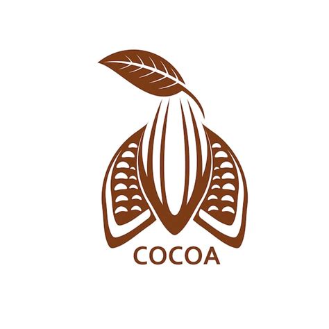 Icône De Fève De Cacao Au Chocolat Cacao Pour Produit Choco Vecteur