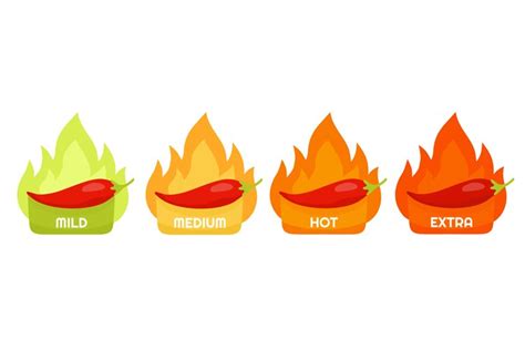 Chilli Pepper Spicy Hot Meter Heat Levels Of Spice Chili I