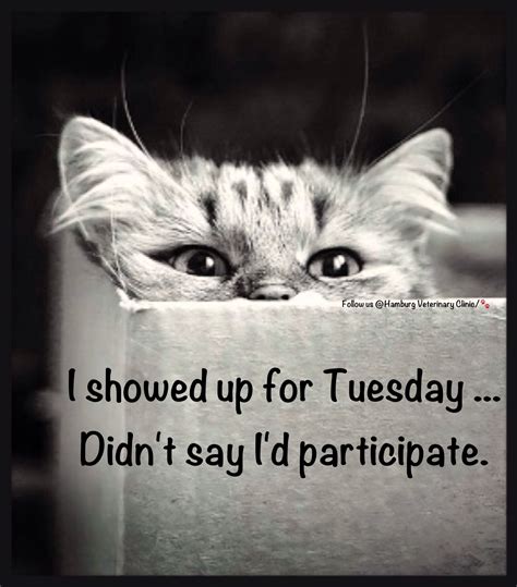 21 Hilarious Happy Tuesday Memes For Work That Will Brighten Your Day Instantly! Image 3