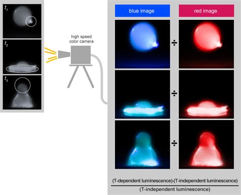 Dual Luminescence Imaging Sakaue Laboratory