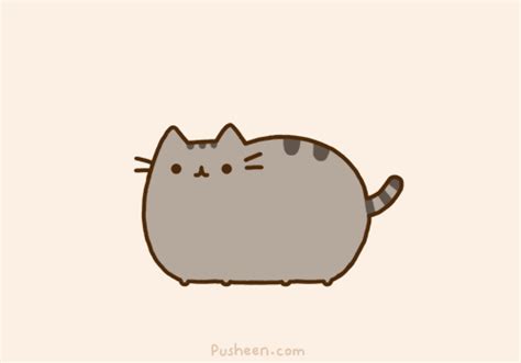 Pusheen GIF - Find & Share on GIPHY