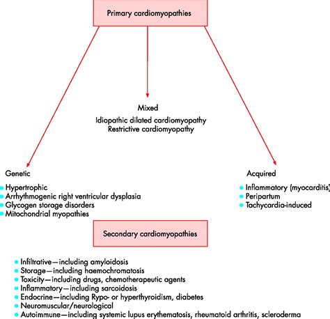 management  patients   ischaemic cardiomyopathy heart