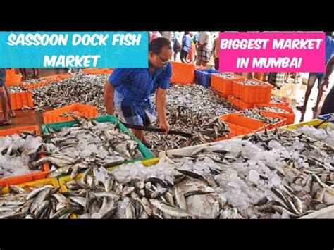 SASSOON DOCK FISH MARKET IN MUMBAI BIGGEST FISH MARKET IN MUMBAI