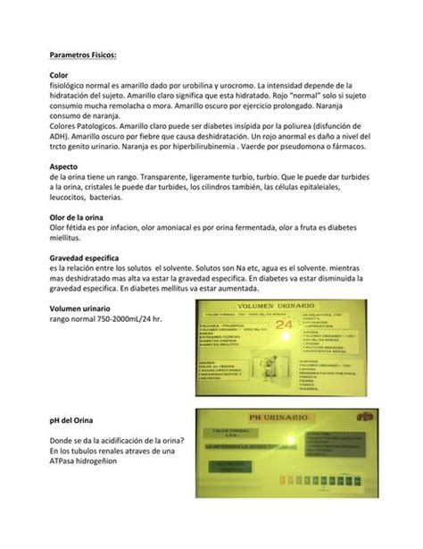 Parámetros físicos de la orina MEDilove uDocz