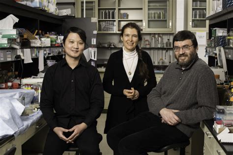 Why Do Naked Mole Rats Live Long Cancer Free Lives