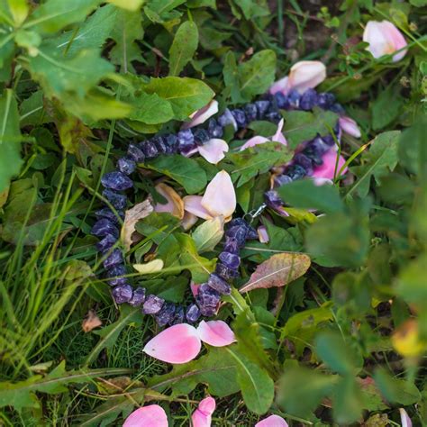 Аметист | Кристалл аметиста, Кристаллы, Аметист