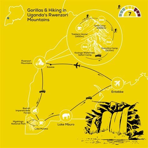 Gorillas & hiking Uganda’s Rwenzori Mountains | Responsible Travel