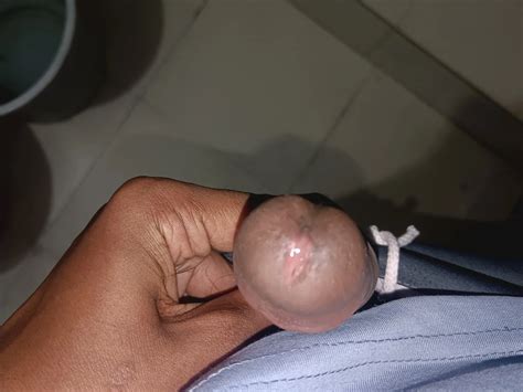 Gay Porn Pictures Pics XHamster