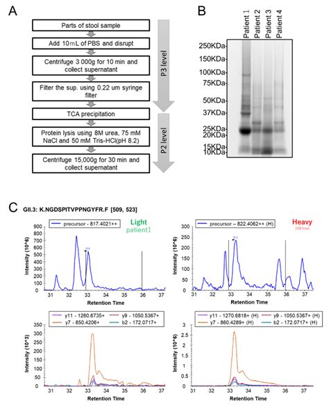 Targeted Proteomic Analysis Of Clinical Stool Specimens Using The Prm Download Scientific