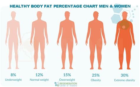Ultimate Guide To Healthy Fats And Healthy High Fat Foods In 2025