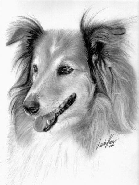 Dibujos De Perros Realistas Imagui