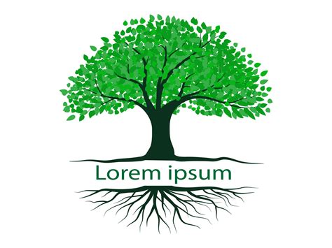 Black Branch Tree Or Naked Trees Silhouettes Set Hand Drawn Isolated Illustrations