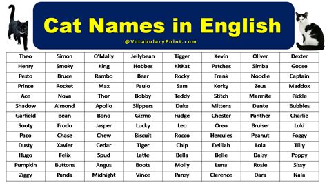 popular cat names  english vocabulary point