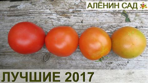Лучшие томаты 2017 🍅 Сорта и гибриды 🍅 Теплица и открытый грунт 🍅 22 ...