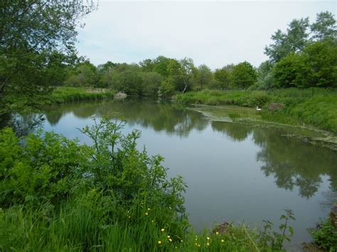 Dorset Group 14 May 23 All Around Horton Gay Outdoor Club