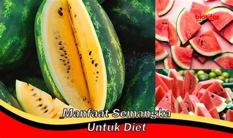 Temukan Manfaat Buah Semangka Yang Jarang Diketahui Biotifor