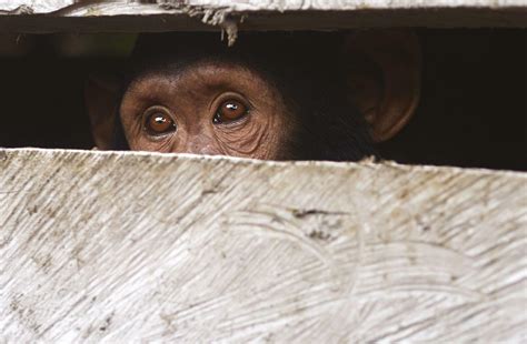 Great Escape You South Africa Entertainment Read This Story On