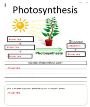 Photosynthesis Anchor Chart Digital Format By Jessie S Cabin Tpt