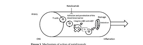 Mechanism of action of natalizumab. | Download Scientific Diagram