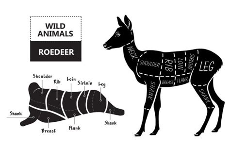 The Cost Of Venison: 7 Things To Expect For Deer Processing