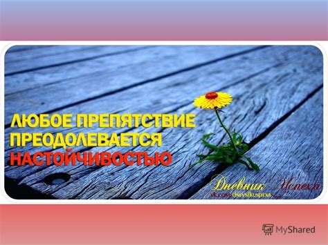 Презентация на тему: "Вам выпускники! Перед тобой открыты все пути ...