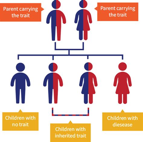 What Is Sickle Cell Trait — Massachusetts Sickle Cell Association