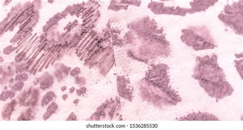 Leopard Print Nude Images Stock Photos Vectors Shutterstock