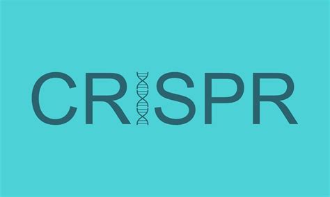 CRISPR Therapeutics sets sights on gene-editing cures for disease