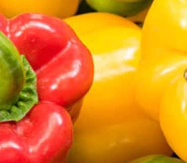 Bell Pepper Benefits | Know All About Bell Pepper Benefits at NDTV Food