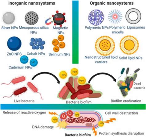 | Different types of organic and inorganic nanomaterials for ... 