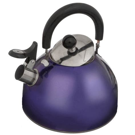 Чайник нержавеющая сталь, 2.5 л, со свистком, зеркальный, ручка ...