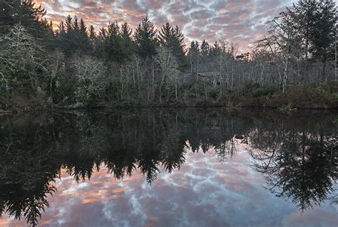 Sunrise Reflections Photograph By Loree Johnson Fine Art America