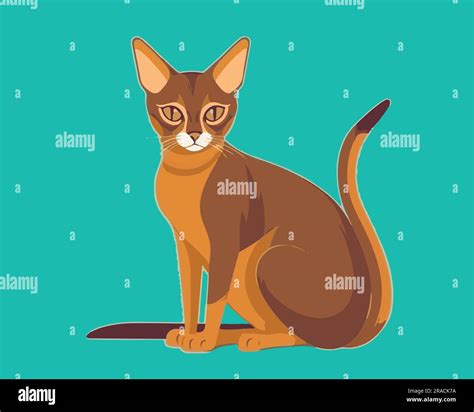 Siberian Cat Flat Vector Illustration Stock Vector Image And Art Alamy