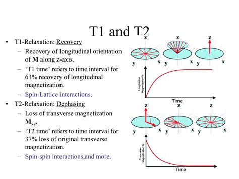 Ppt Chapter 3 Powerpoint Presentation Free Download Id6650663