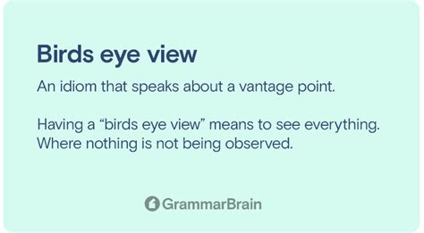 Birds Eye View Meaning Definition Examples Of Use Grammarbrain