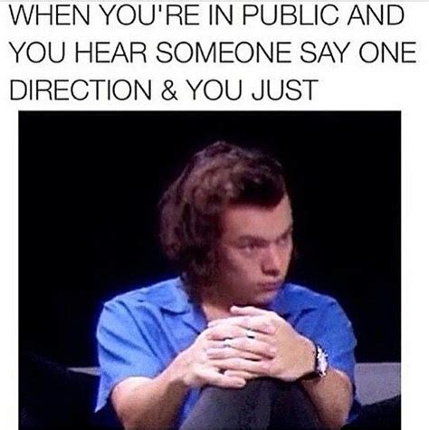 16 Memes Only A True Directioner Would Understand Capital