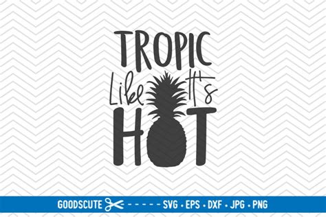 Tropic Like It S Hot Svg Dxf Png Eps