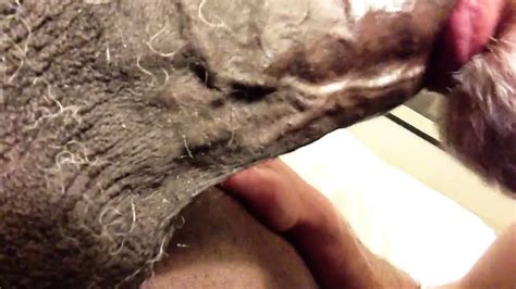 Key West Taking All Of Pedros Huge Cock Gay Black Porn XHamster