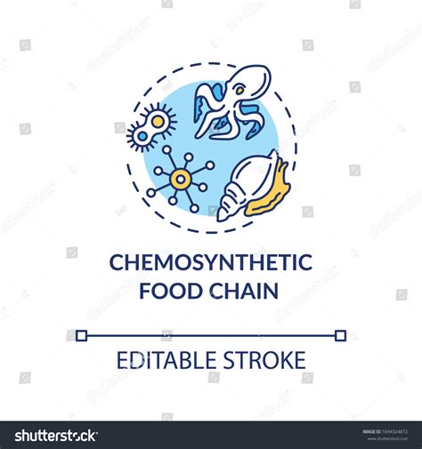 3 Chemosynthetic Bacteria Images Stock Photos And Vectors Shutterstock