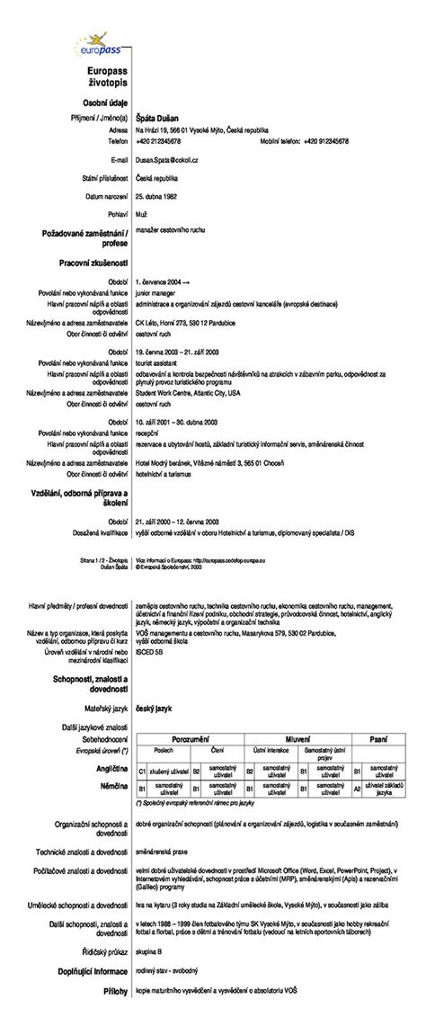 Modele De Curriculum Vitae Europ En Aide Soignante Laboite Cv Fr