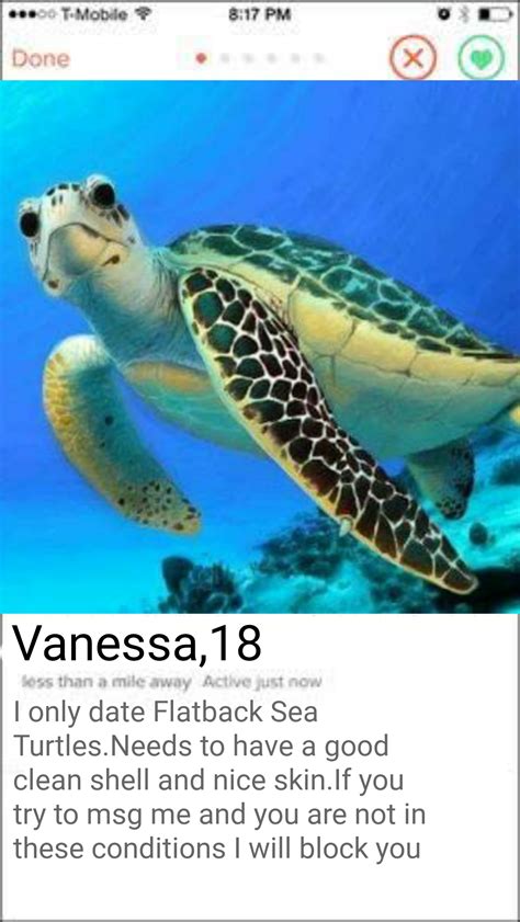 Tired Of These Kind Of Bitches Whose Ass So High R Turtcels