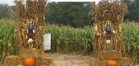 Sand Mountain Corn Maze & Pumpkin Patch | Greater Gadsden Area Tourism