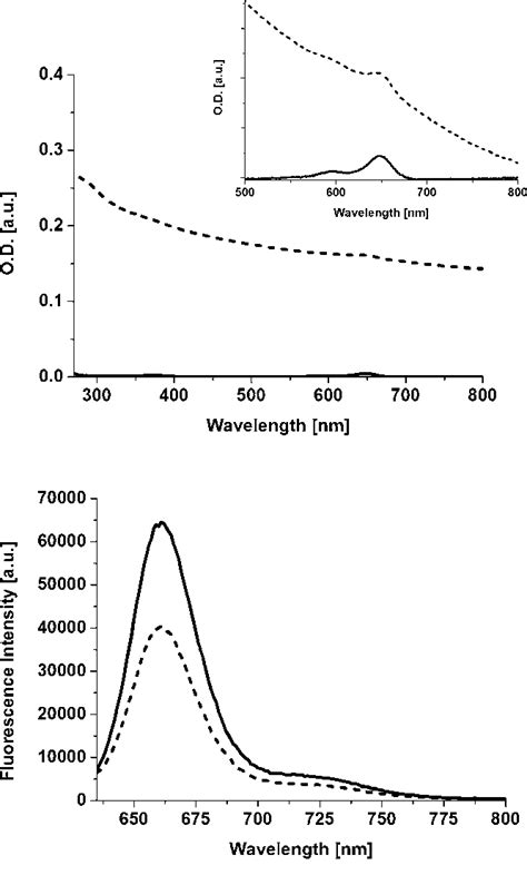 Figure 6 From Synthesis And Characterization Of Far Red NIR Fluorescent