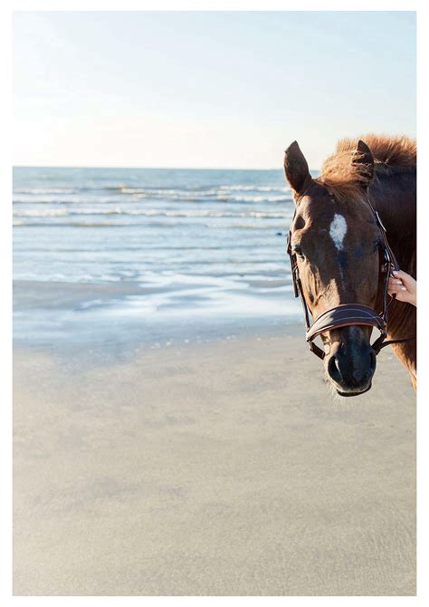 happy encounter 林襄數位寫真 與你襄遇 壓 118 Porn Pic