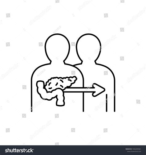 Pancreas Transplant Black Line Icon Donor Stock Vector (Royalty Free