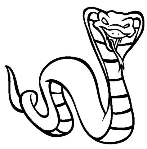 World Longest Venomous Snake King Cobra Coloring Pages Snake Coloring