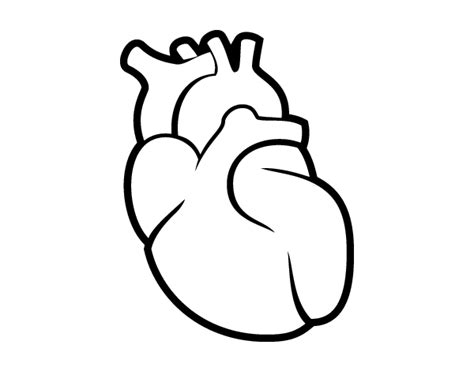 Corazon Para Dibujar Real