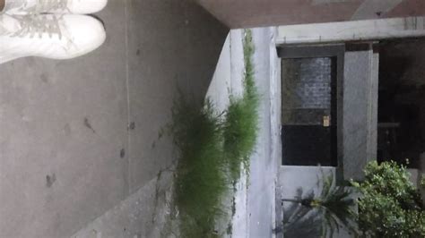 Public In Porch Gay Amateur Amateur Porn Feat Alexalejandro Xhamster