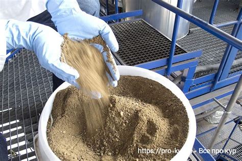 Мясокостная мука для домашней птицы: кур, уток, гусей