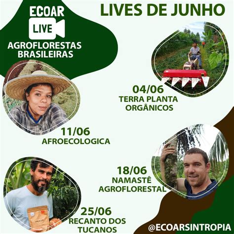 Agroflorestas Brasileiras Terra Planta Org Nicos Ecoagri